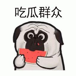 带你吃瓜解说吃货视频,跟随吃货视频开启味蕾之旅