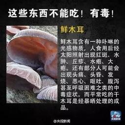 啥情况吃大瓜会中毒呢视频,食用不当风险知多少