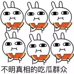 可爱肥肥吃瓜视频,萌态十足，可爱瞬间尽收眼底