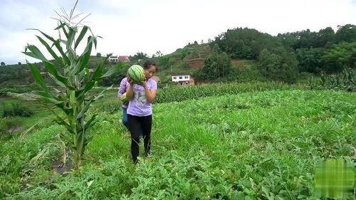 桃子姐吃瓜视频,揭秘娱乐圈幕后真相