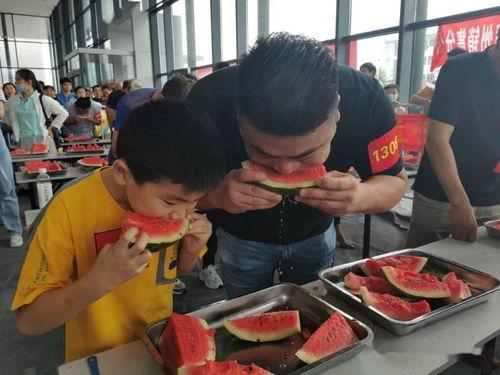 吃瓜大赛现场视频,瓜界风云再起，精彩瞬间大盘点