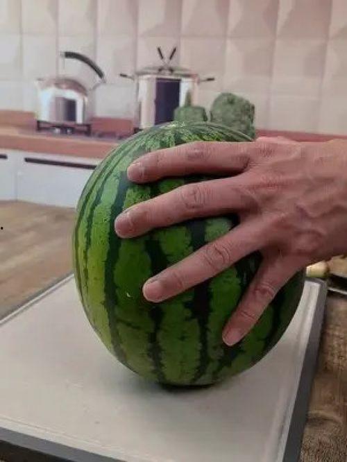 不锈钢吃瓜视频,揭秘网红美食背后的秘密