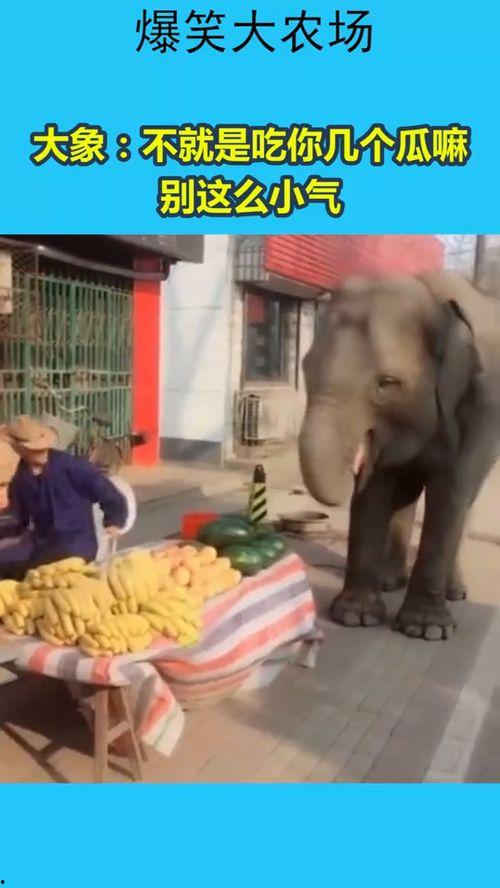 吃瓜视频传播乱象,揭秘网络舆论场的隐忧与挑战