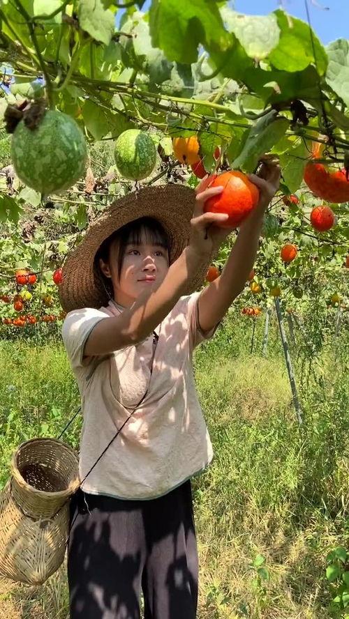 最新恶心吃瓜视频大全集,2023年度全网最热恶心吃瓜视频大盘点