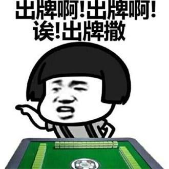 麻将研究河马吃瓜的视频,揭秘麻将高手背后的趣味研究