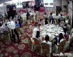 怀化吃瓜婚礼现场视频,一场别开生面的吃瓜盛宴