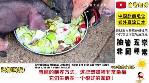 老外吃麒麟瓜视频播放,品尝中国独特美味，视频播放引发热议