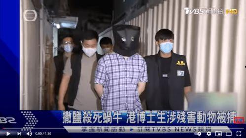 香港队员吃瓜事件视频,一场意外的网络风暴