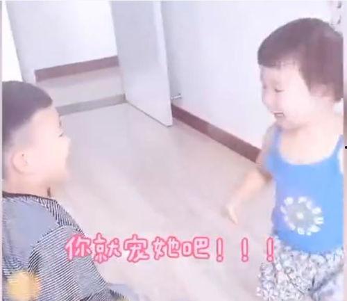 吃瓜视频哥哥和妹妹上网课,哥哥妹妹同上网课，温馨互动引网友热议