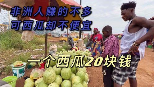 一日小哥吃瓜视频,揭秘娱乐圈幕后真相  第2张