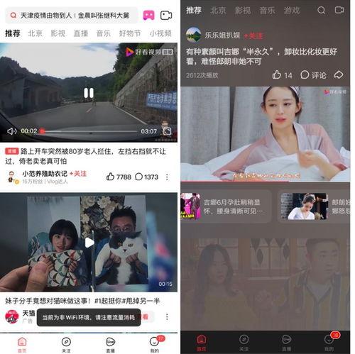 河北永利视频吃瓜事件真相,真相与争议交织