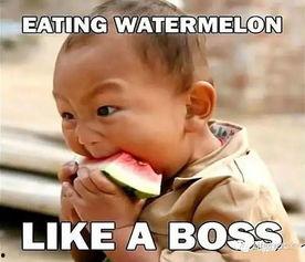 吃老瓜减肥还是增肥呢视频,老瓜减肥还是增肥？揭秘吃老瓜的神奇功效